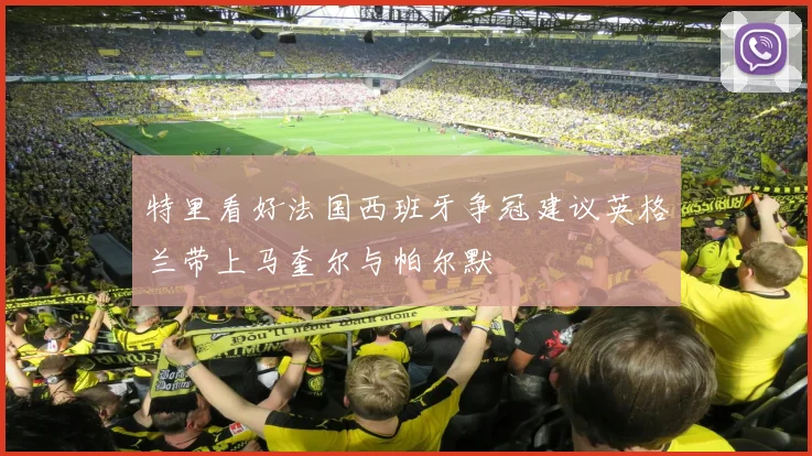 特里看好法国西班牙争冠建议英格兰带上马奎尔与帕尔默